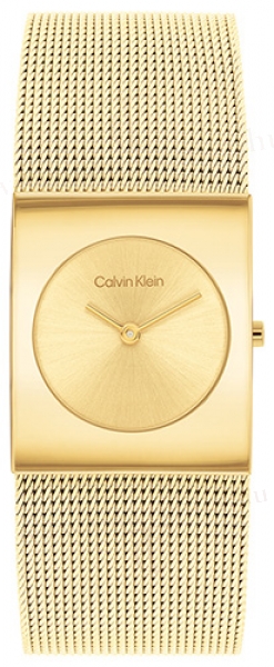 Calvin Klein CK25100062 karóra