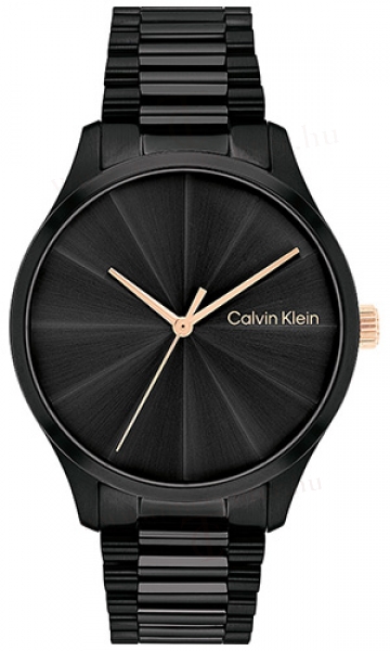 Calvin Klein CK25200233 karóra