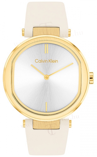 Calvin Klein CK25200254 karóra