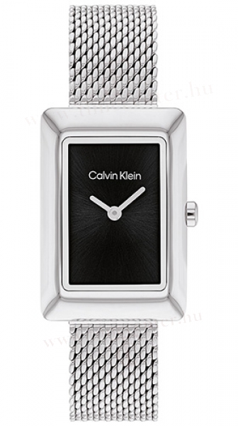Calvin Klein CK25200399 karóra